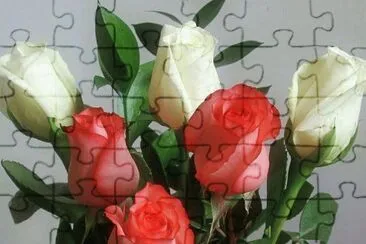 (14) Rosas jigsaw puzzle