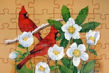 פאזל של flor