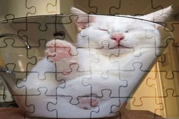Gato Durmiendo Dentro de un Vaso de Vidrio jigsaw puzzle
