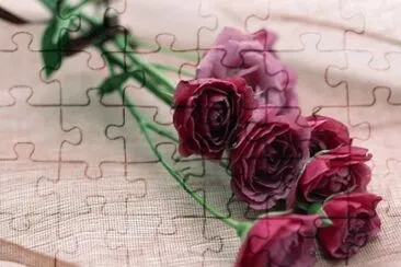 (20) Rosas jigsaw puzzle