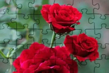imagens jigsaw puzzle