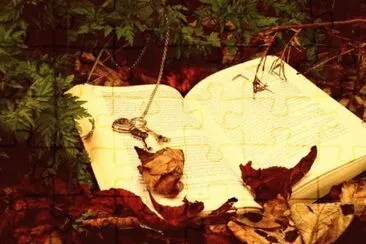 LIBROS jigsaw puzzle