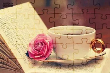 LIBROS