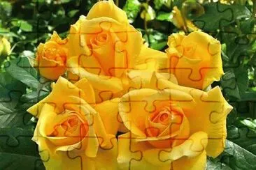 (21) Rosas jigsaw puzzle