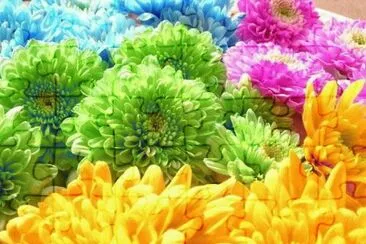 Bunt