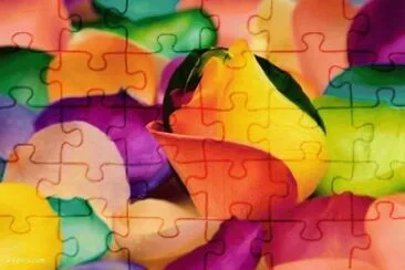 Bunt jigsaw puzzle