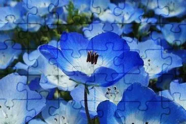 5ccxdwh3 jigsaw puzzle