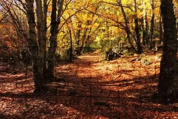 otoÃ±o