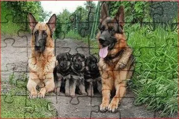 FAMILIA DE PASTORES