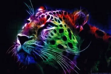 TIGRE