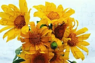imagens jigsaw puzzle