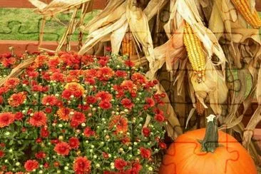imagens jigsaw puzzle