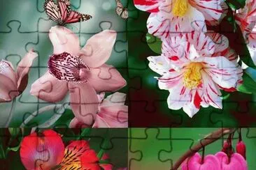 פאזל של (37) Flores