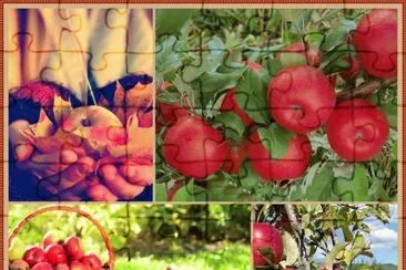 (45) MaÃ§Ã£s jigsaw puzzle