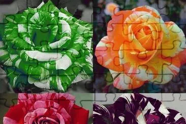 (50) Rosas jigsaw puzzle
