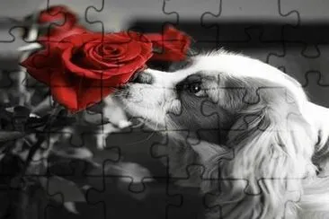 imagens jigsaw puzzle