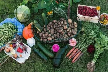 Fresh Garden Vegetables jigsaw puzzle