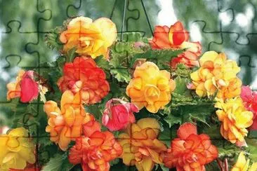 (55)Vaso de Flores jigsaw puzzle