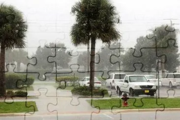 NATURA jigsaw puzzle