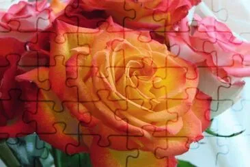 (68) Rosas jigsaw puzzle