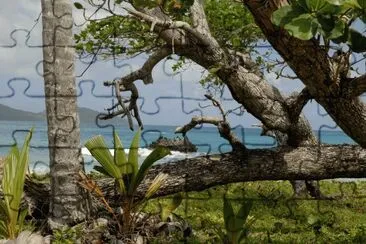 caribe