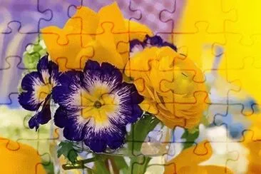 (70) Flores