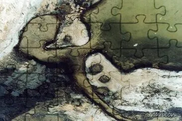 Formas caprichosas en Hierve el Agua Oaxaca jigsaw puzzle