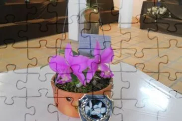 פאזל של flores