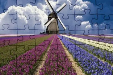 todo paisaje