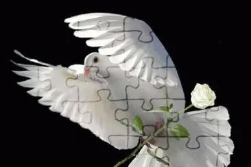 paz