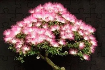 pequeÃ±in jigsaw puzzle