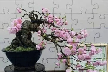 (84) Ikebana jigsaw puzzle