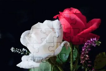 (88) Rosas jigsaw puzzle