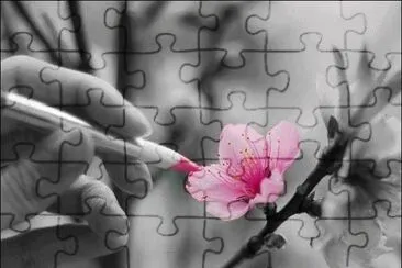(93) Flor jigsaw puzzle