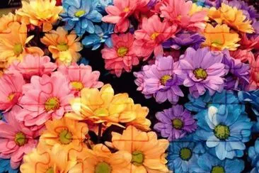 Bunt