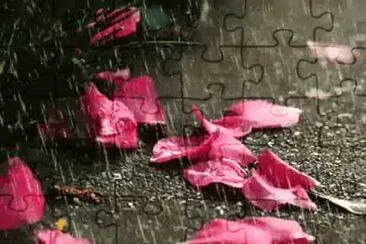 PETALOS
