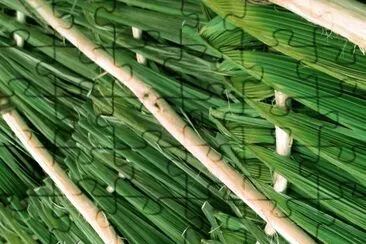 Palapa, Rancho Yohuas, YucatÃ¡n jigsaw puzzle
