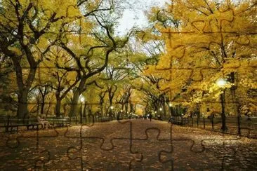 imagens jigsaw puzzle