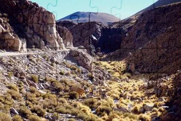 A la vera de la RP 129. Salta. Argentina