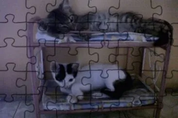 Familia G jigsaw puzzle