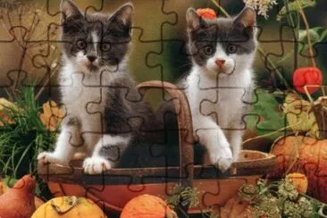 Gatets jigsaw puzzle