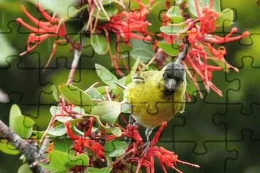posando en el notro jigsaw puzzle
