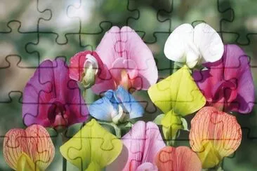 (101) Flores jigsaw puzzle