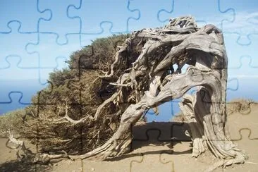 Sabina El Hierro jigsaw puzzle