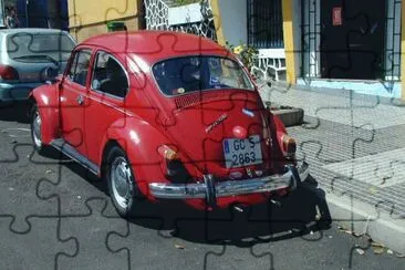 escarabajo Schamann