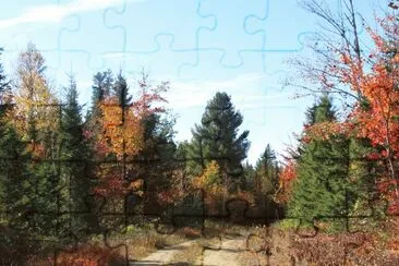 Fall colours on Old Mullin Stream Rd jigsaw puzzle