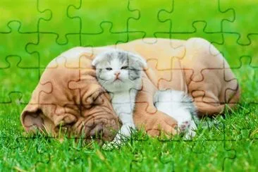 imagens jigsaw puzzle