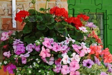 (103) Vaso de Flores jigsaw puzzle