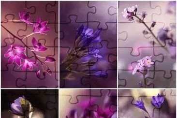 (106) Flores jigsaw puzzle