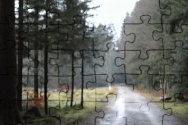 foret jigsaw puzzle